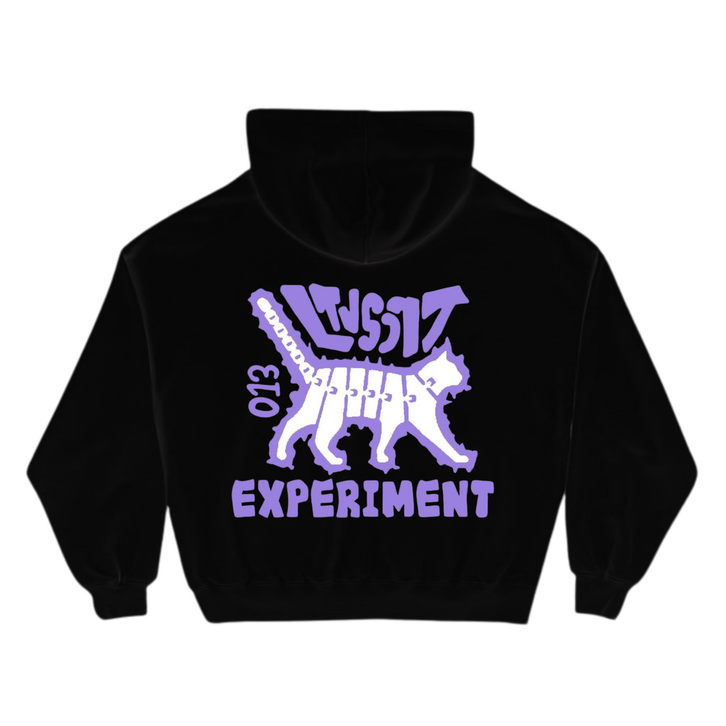 "Experiment" hoodie (black)