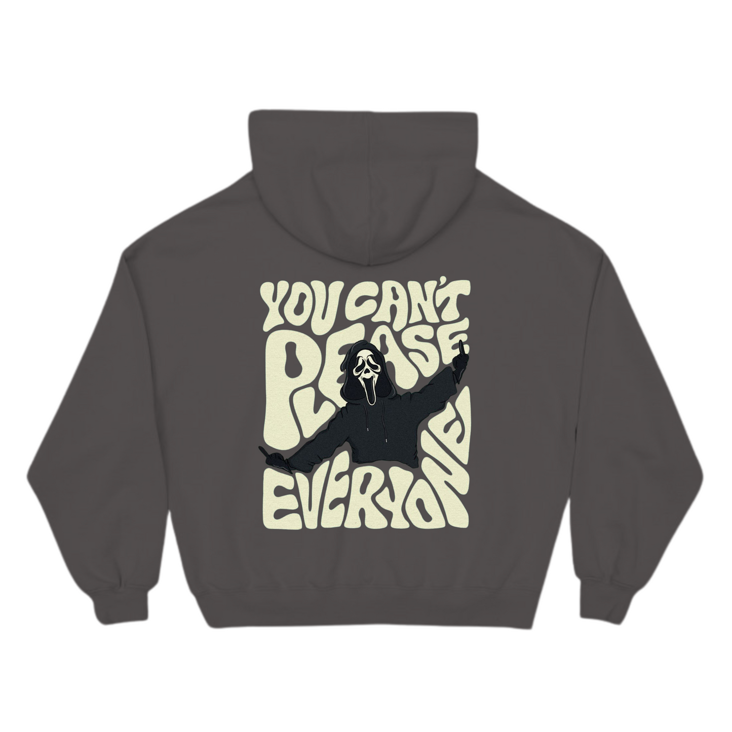 "You Cant Please Everyone" hoodie (grey)